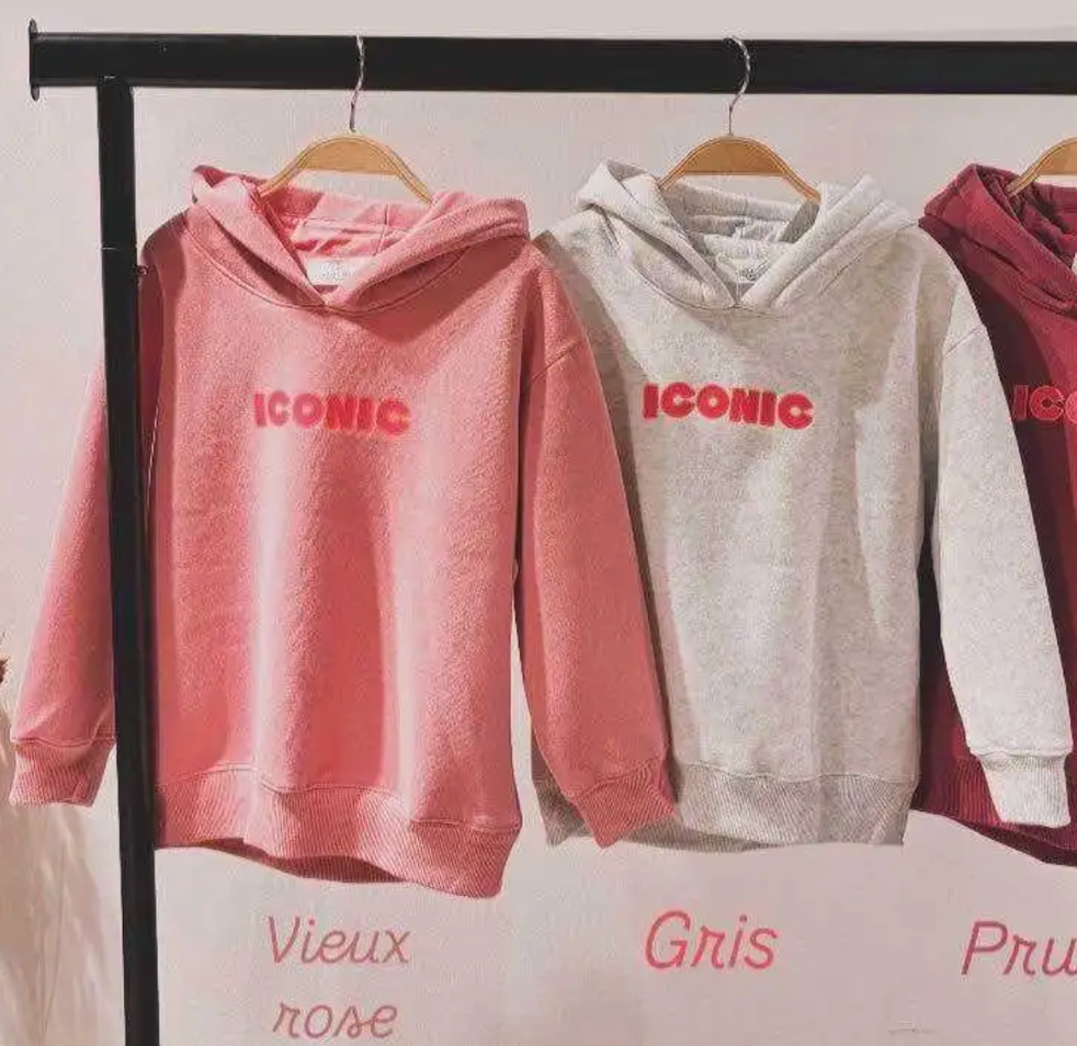 Sweat à capuche  ICONIC