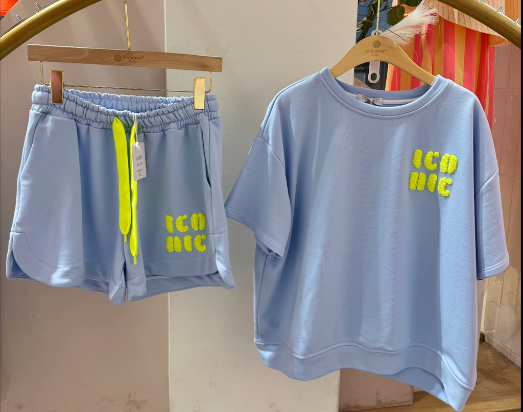 Ensemble ICONIC
