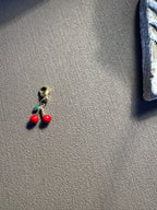 Charms