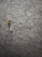 Charms