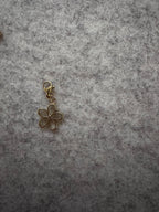 Charms