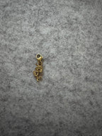 Charms