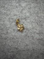 Charms