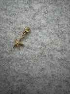 Charms