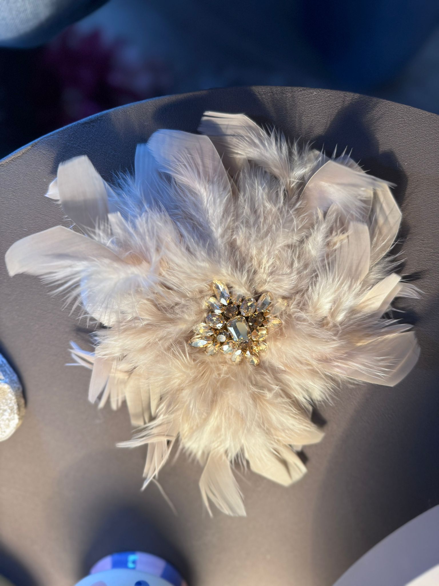 Broche plume fantaisie