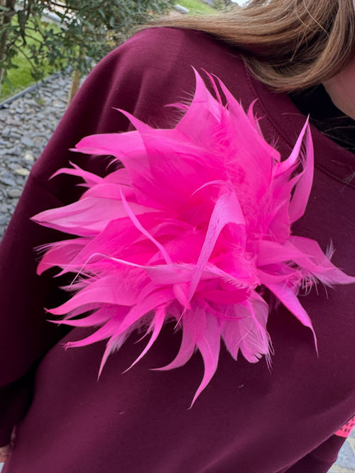 Broche Plumes